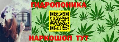сатива Кулебаки