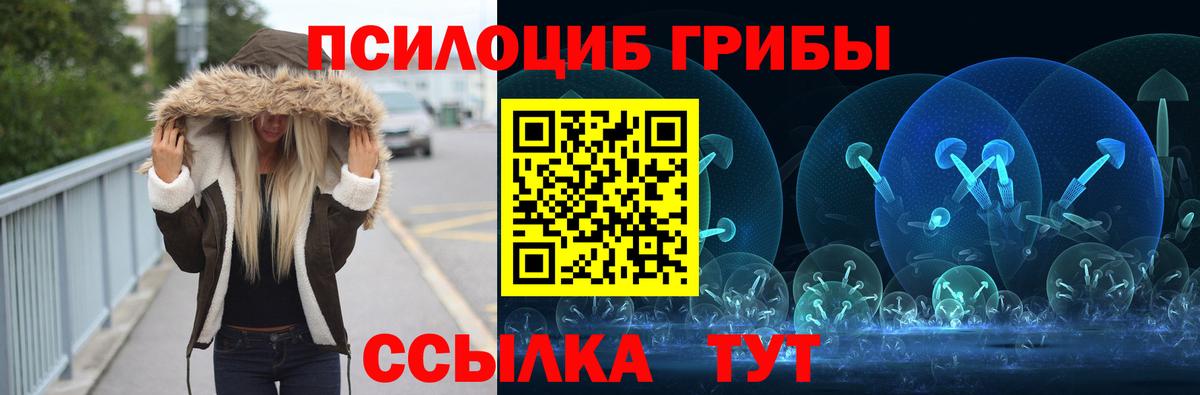 Долгопрудный  где купить   Псилоцибиновые грибы мухоморы  Вход с VPN  Псилоцибиновые грибы Cubensis 