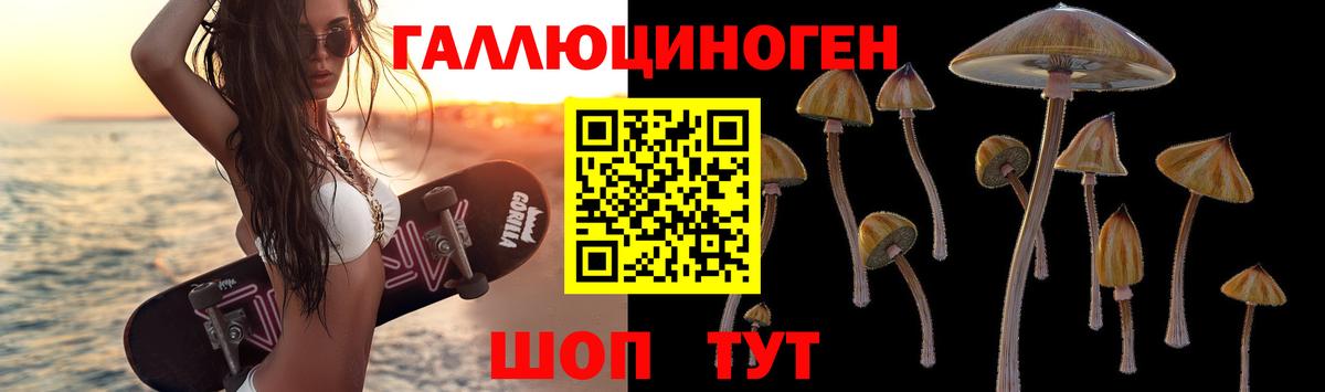 Галлюциногенные грибы Долгопрудный